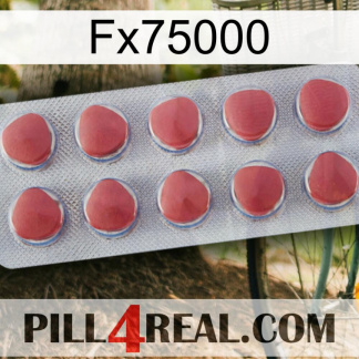 Fx75000 18